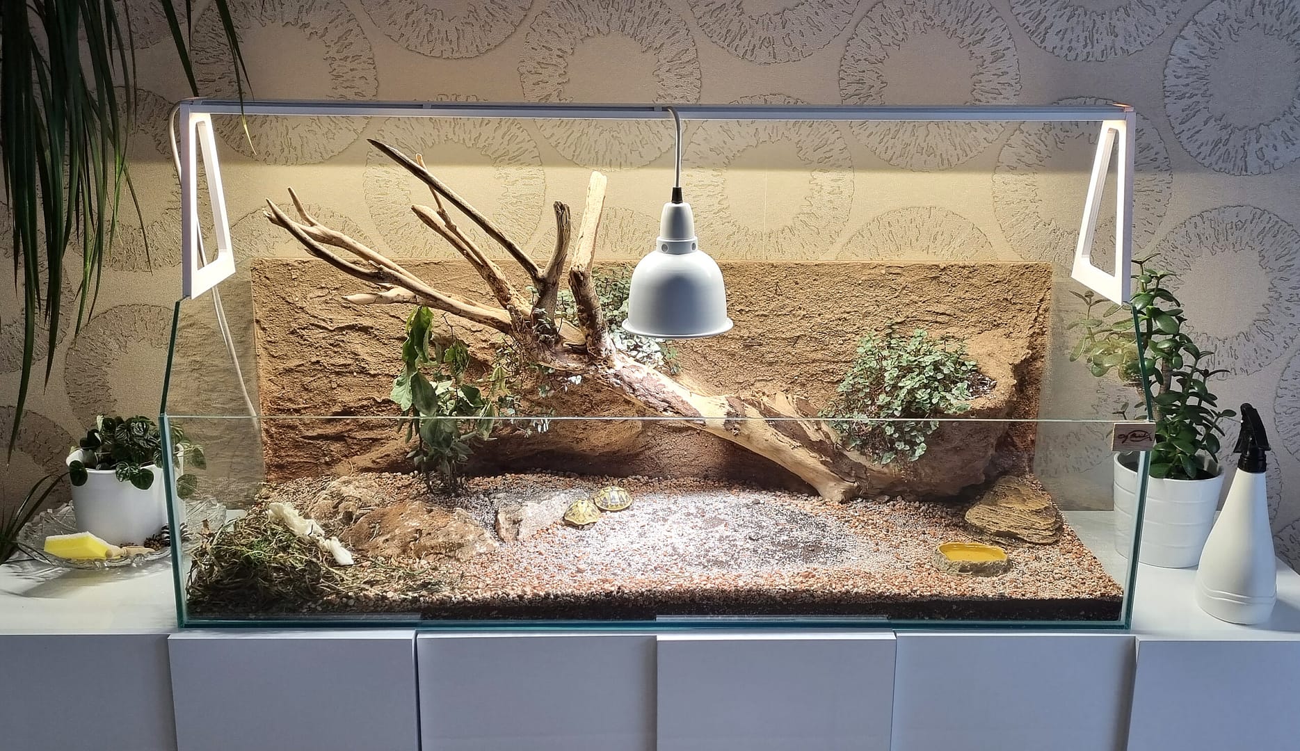 Želvárium s pískovaným pozadím a bílou světelnou lištou